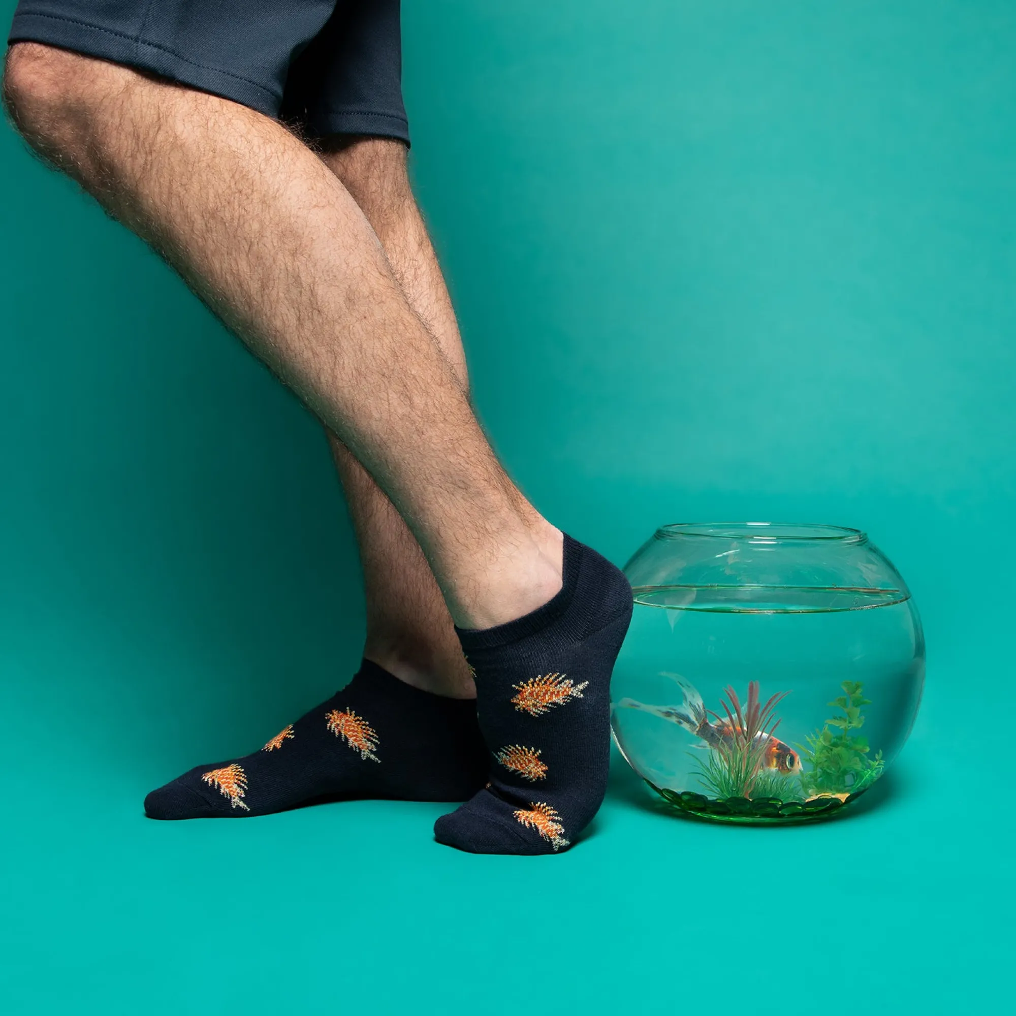 Fantaisies | Chaussettes Courtes<Maison Broussaud Les Poissons Lions Marine